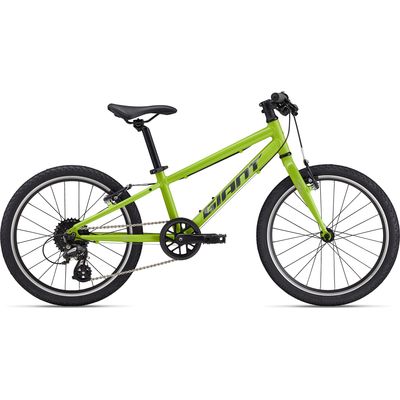 Giant ARX 20 Kids Bike