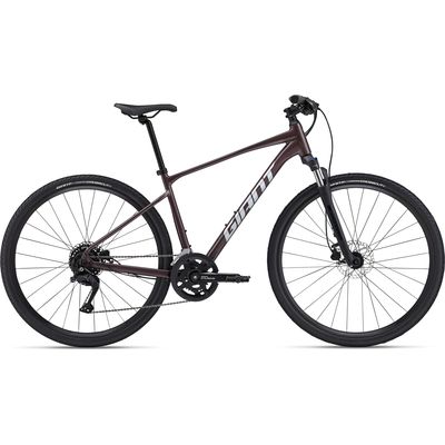 Giant Roam Disc 2 City Bike